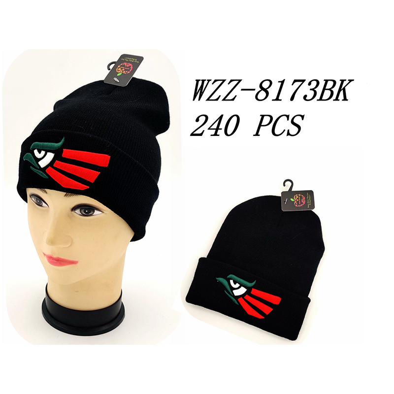 WZZ-8173BK CS240
